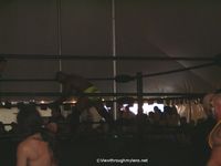 Battle Royal Photos