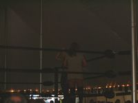 TNA Knockout ODB