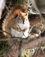 Outdoor Photography