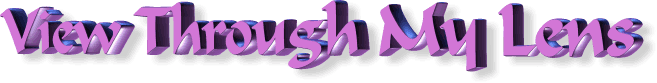 header.jpg